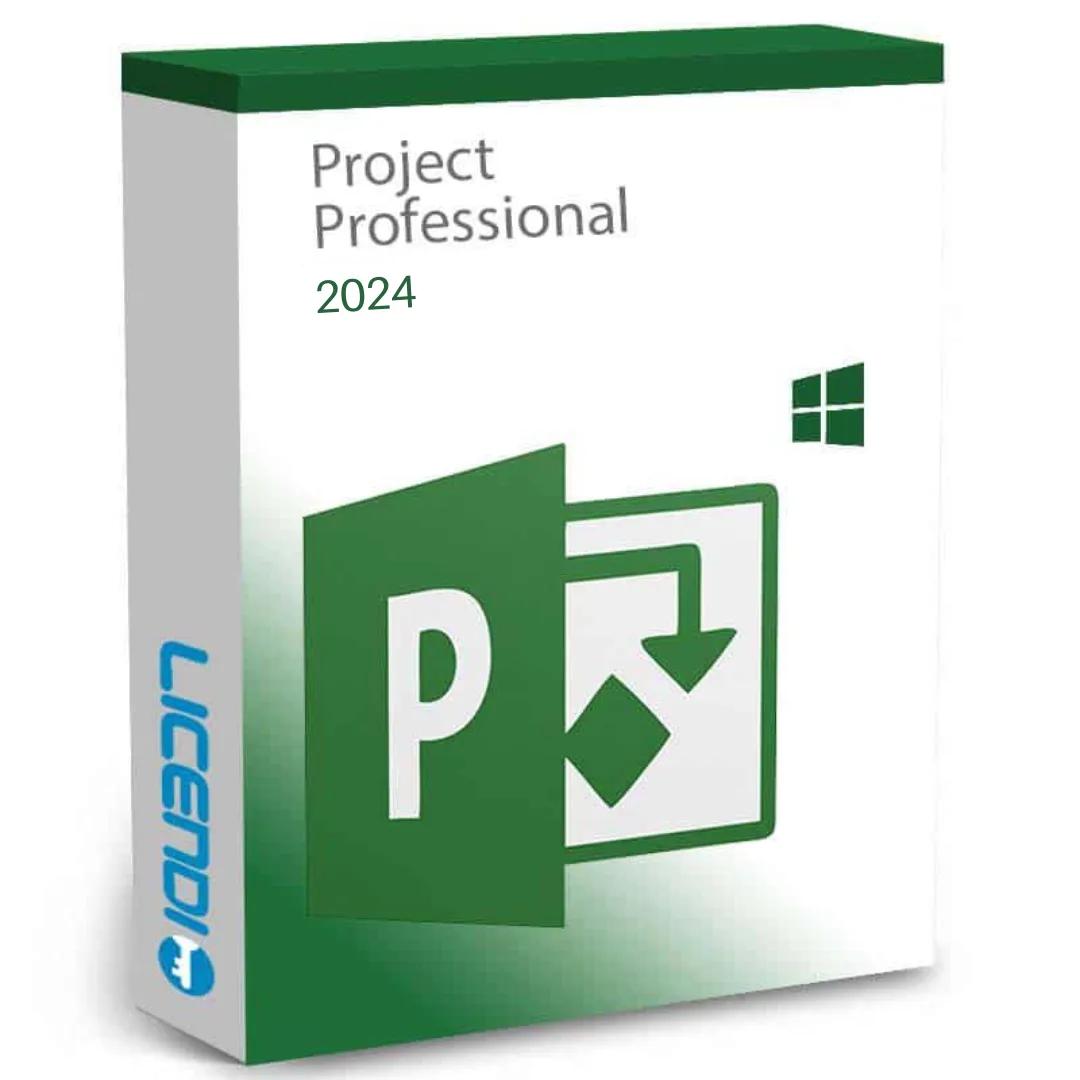 Microsoft Project Professional 2024